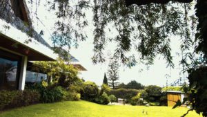 Jardín frontal vista desde fuente casa el condado rumiyacu