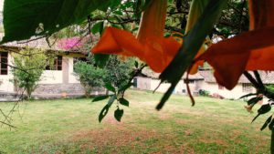 Hacienda Cotacachi Flora